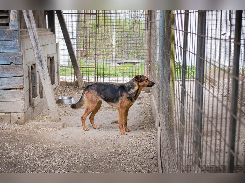 Stina – Königreich gesucht