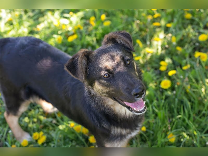 Anni – liebt Wasser