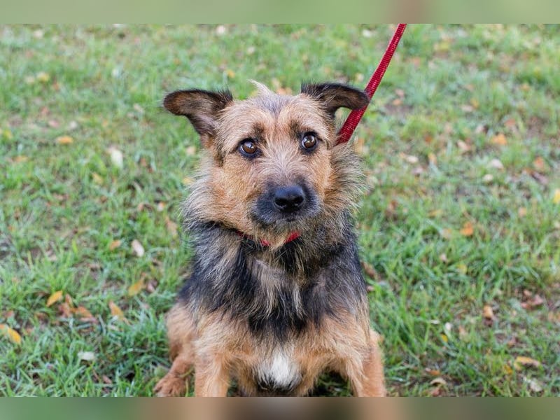 Nola, sucht einfühlsame Menschen