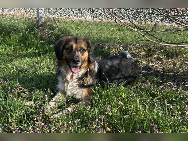 Namira: Fröhliche Seele sucht Heimat