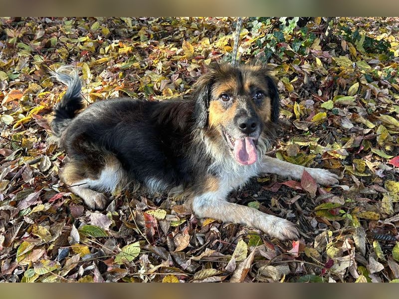 Namira: Fröhliche Seele sucht Heimat