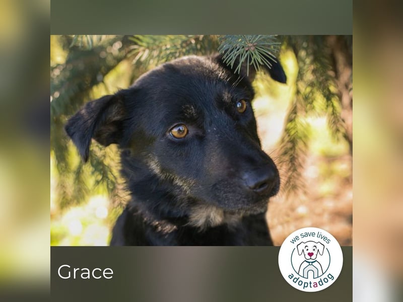 Grace: Sanfte Seele sucht Halt