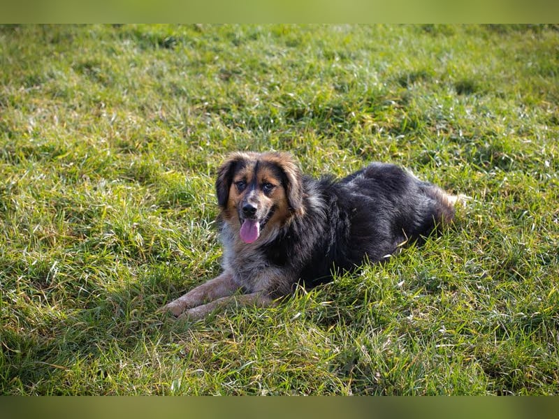 Namira: Fröhliche Seele sucht Heimat