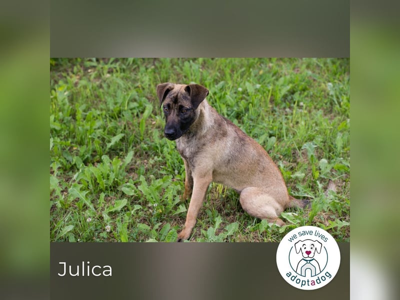 Julica: Volle Kraft voraus!