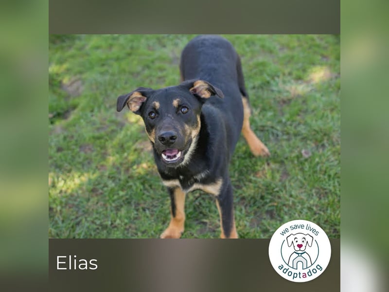 Elias sucht den Sprung ins Glück