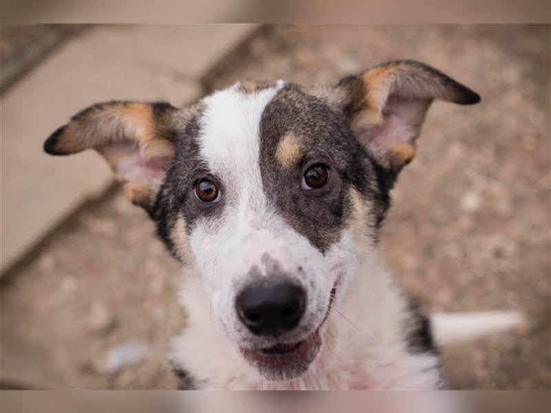 Jim: Sucht das Abenteuer