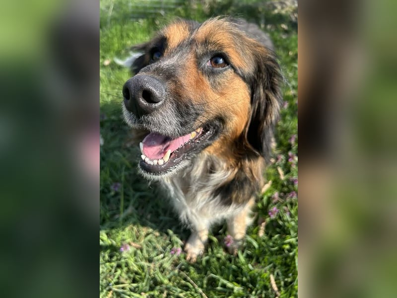 Namira: Fröhliche Seele sucht Heimat