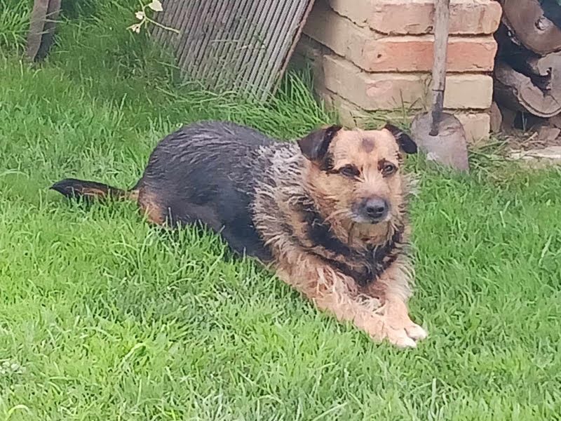 Nola, sucht einfühlsame Menschen