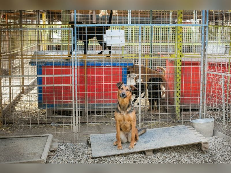 Stina – Königreich gesucht