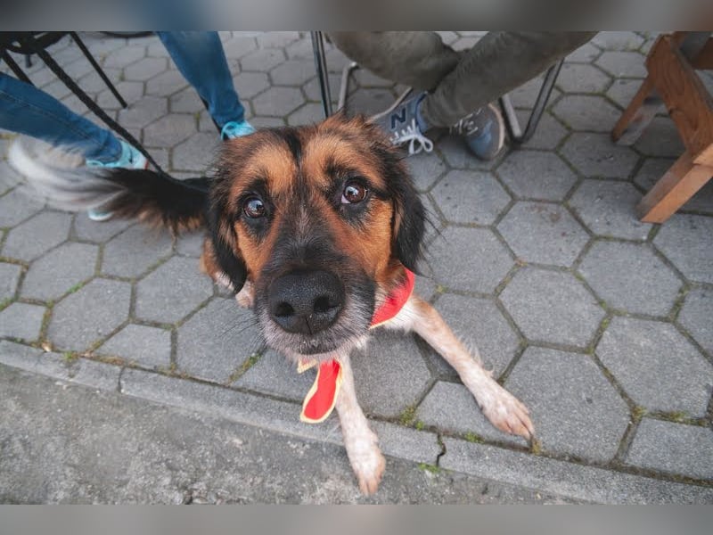 Namira: Fröhliche Seele sucht Heimat