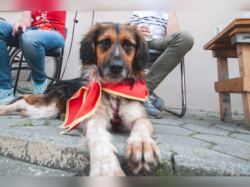 Namira: Fröhliche Seele sucht Heimat