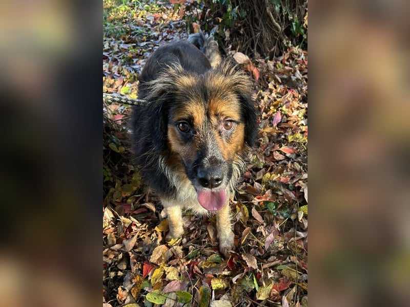 Namira: Fröhliche Seele sucht Heimat