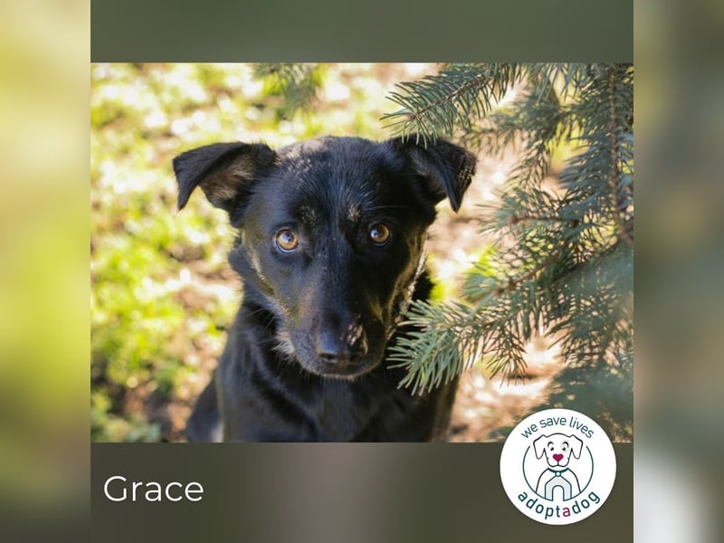 Grace: Sanfte Seele sucht Halt