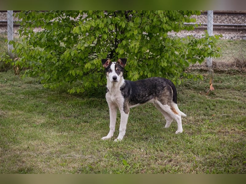 Jim: Sucht das Abenteuer