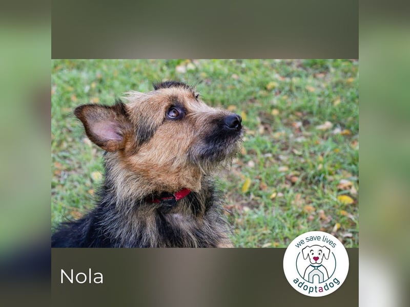 Nola, sucht einfühlsame Menschen