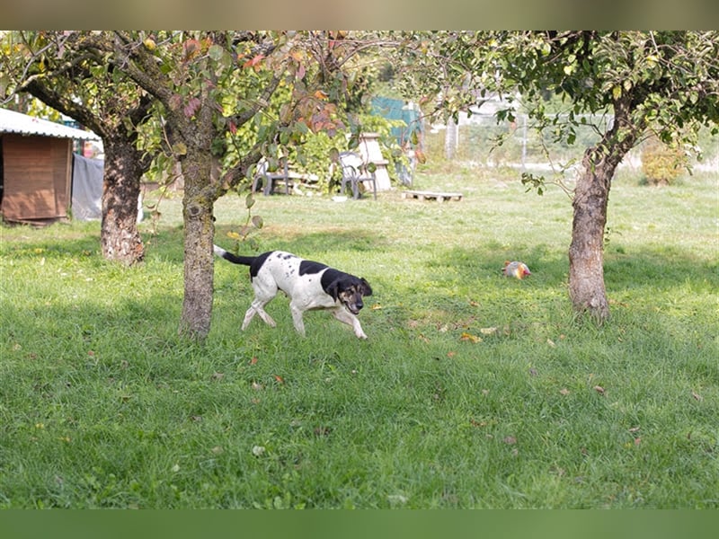 Yuna: Stets an deiner Seite