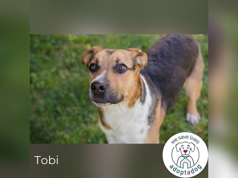 Tobi: Stark und sanft zugleich