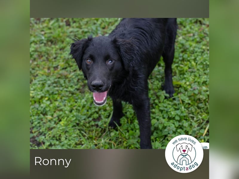 Ronny: freundlich und fröhlich