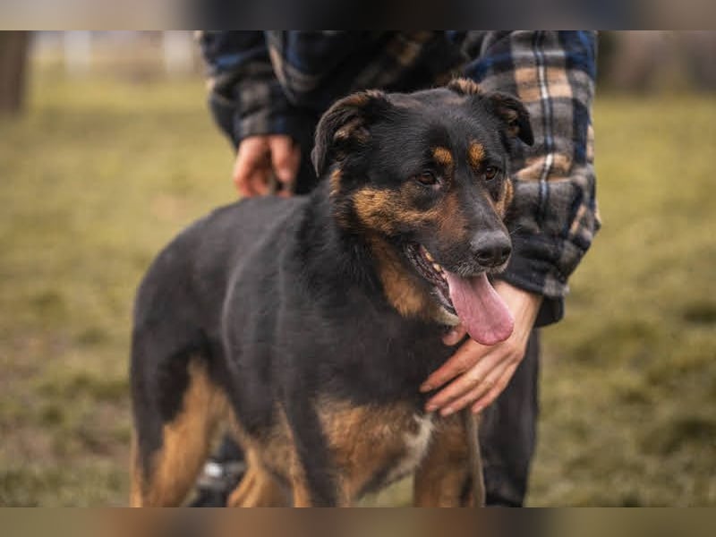 Nia: großes, aktives Mädchen