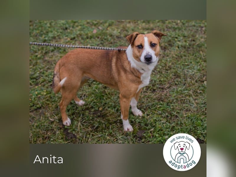 Anita will endlich leben