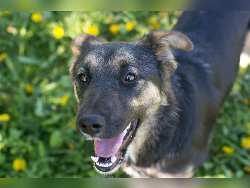 Anni – liebt Wasser