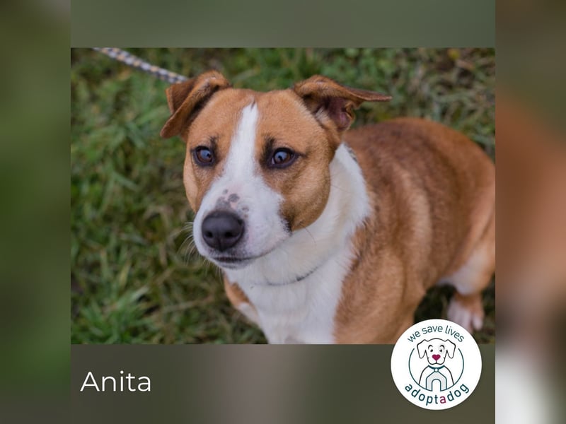 Anita will endlich leben