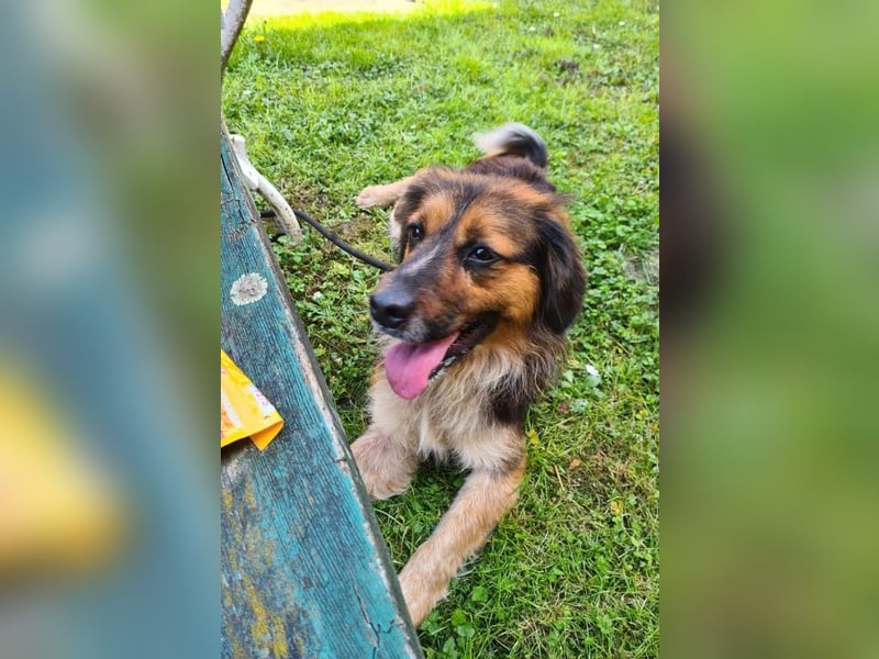 Namira: Fröhliche Seele sucht Heimat