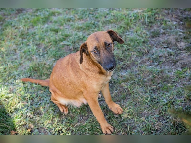 Hazel: Freundlich und voller Hoffnung