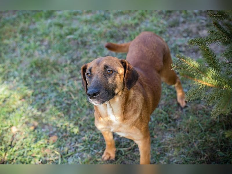 Hazel: Freundlich und voller Hoffnung