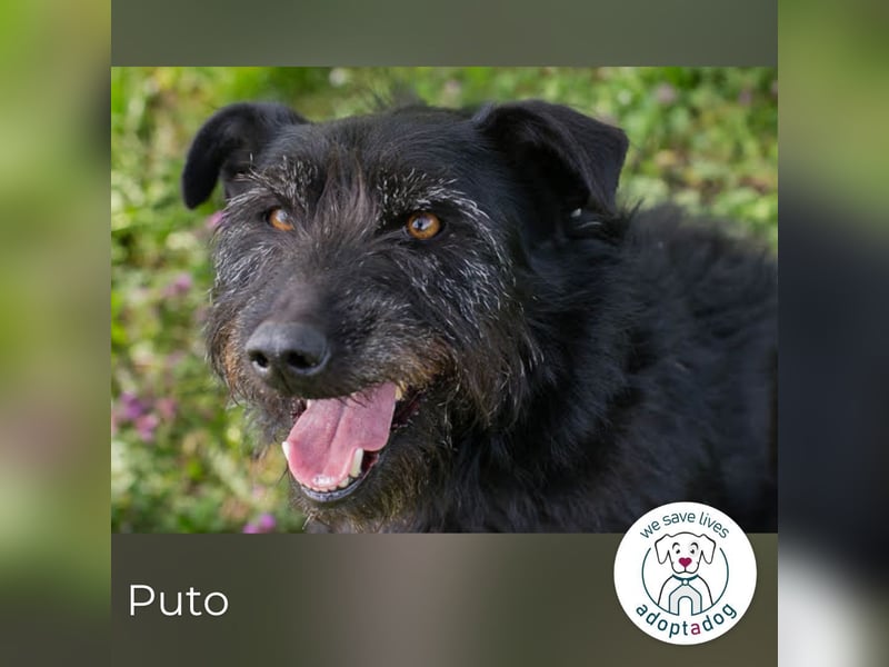 Pluto – Ein waschechter Spielgefährte!