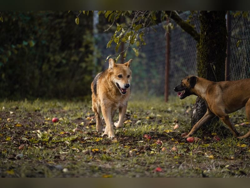 Julica: Volle Kraft voraus!