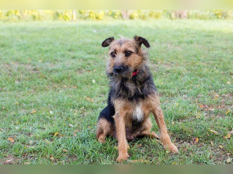 Nola, sucht einfühlsame Menschen