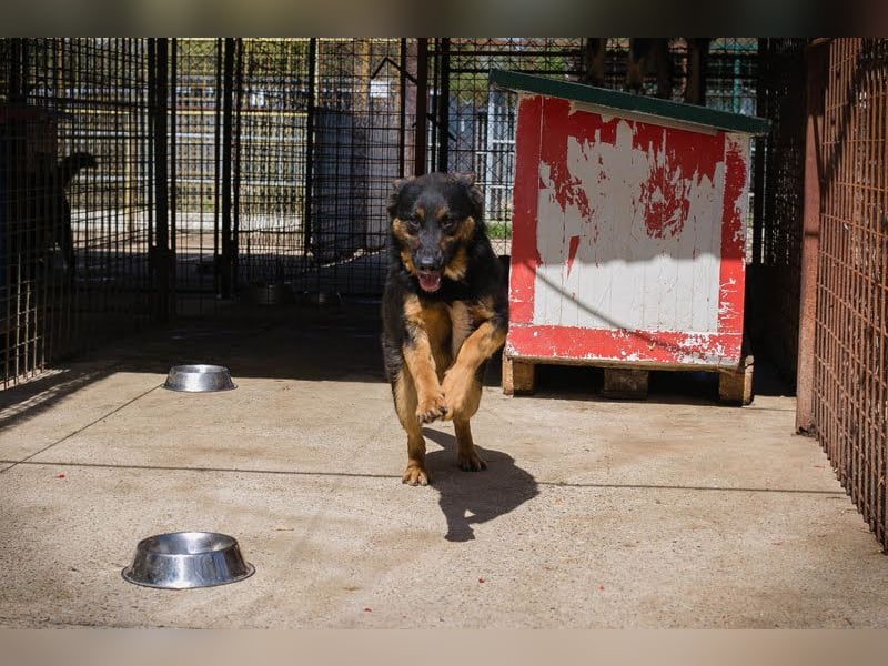 Nia: großes, aktives Mädchen