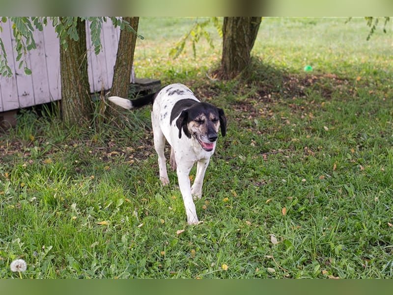 Yuna: Stets an deiner Seite