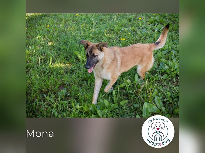 Mona: Fröhliche Spaßkanone