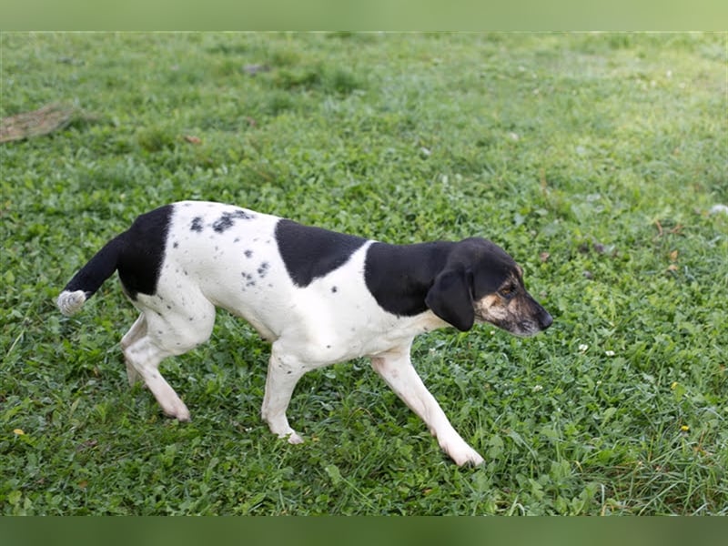 Yuna: Stets an deiner Seite