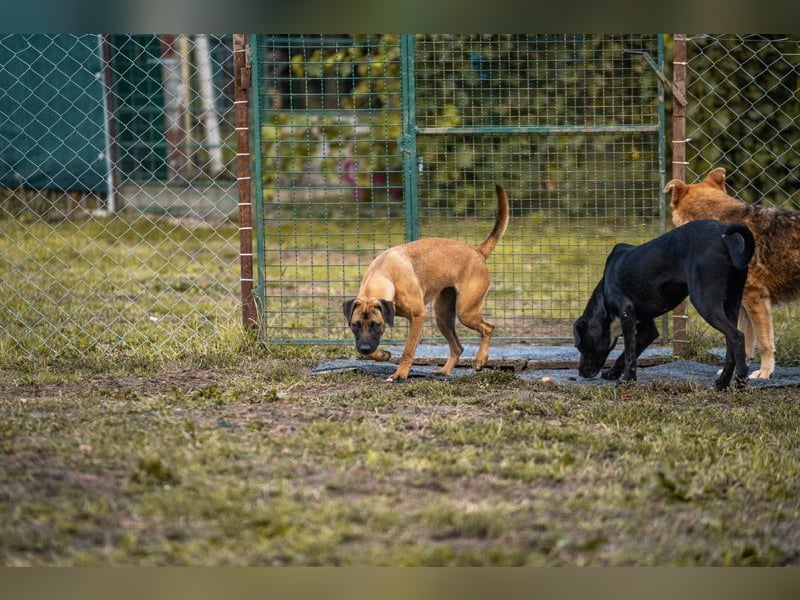 Julica: Volle Kraft voraus!