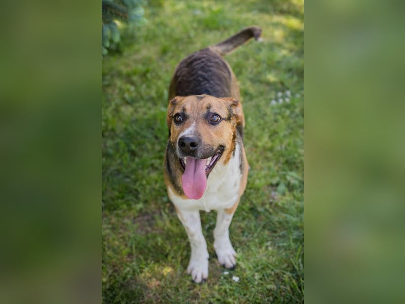 Tobi: Stark und sanft zugleich