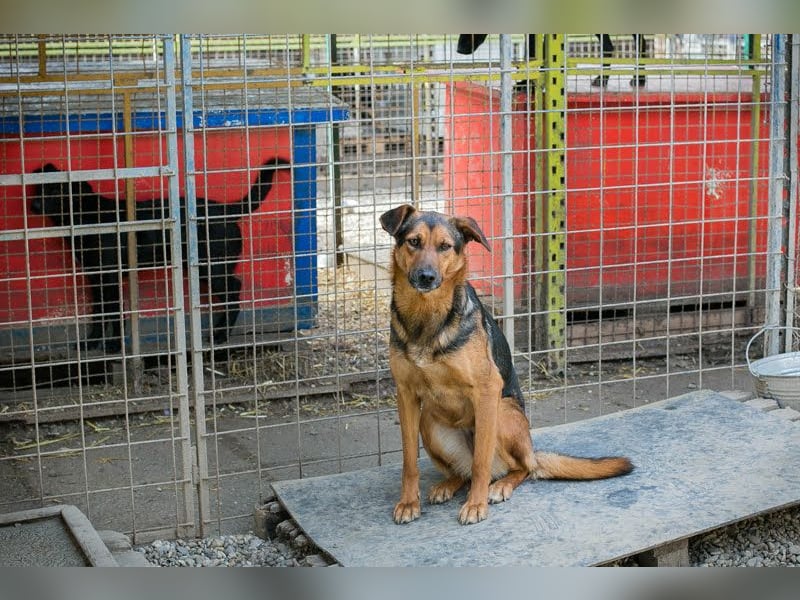 Stina – Königreich gesucht