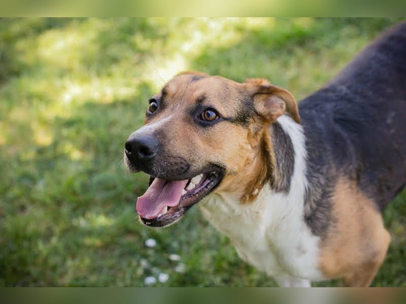 Tobi: Stark und sanft zugleich