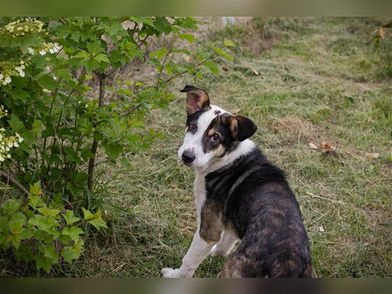 Jim: Sucht das Abenteuer