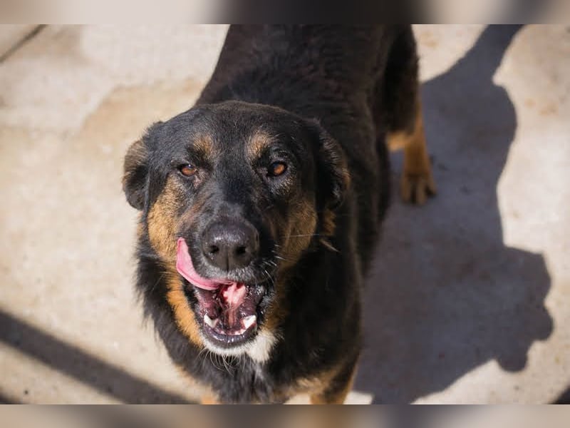 Nia: großes, aktives Mädchen