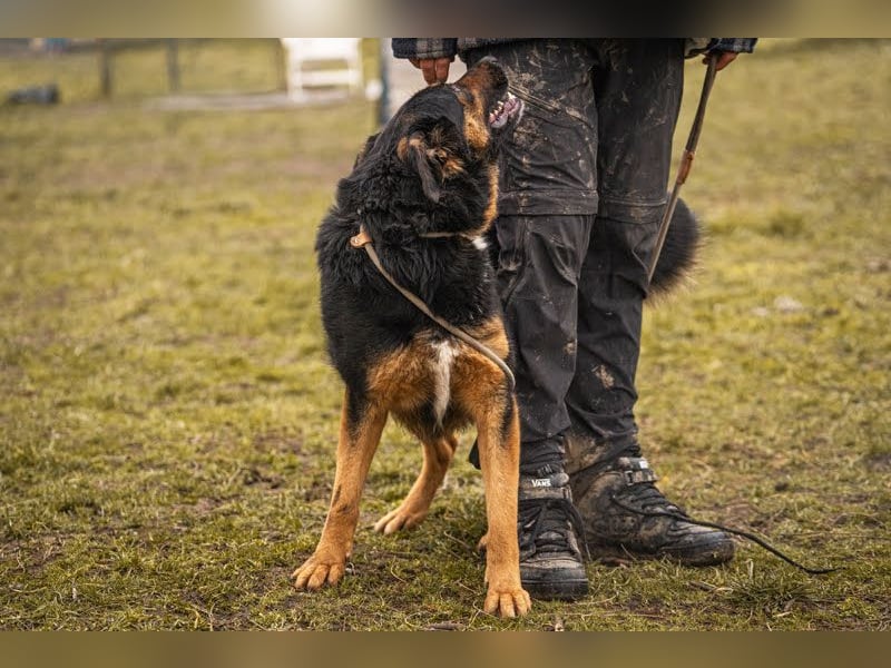 Nia: großes, aktives Mädchen