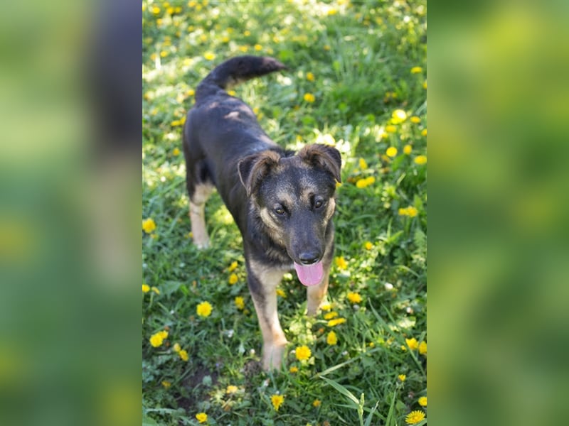 Anni – liebt Wasser