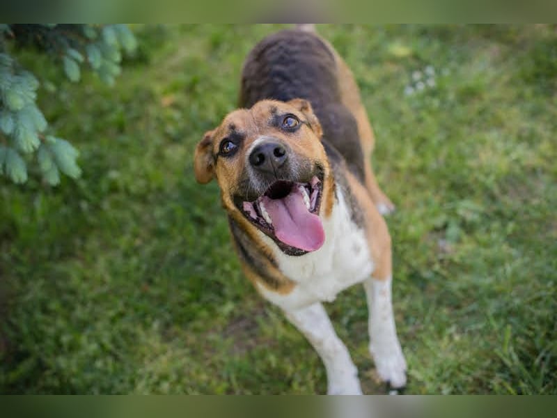 Tobi: Stark und sanft zugleich