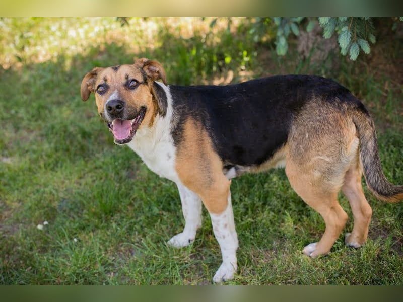 Tobi: Stark und sanft zugleich