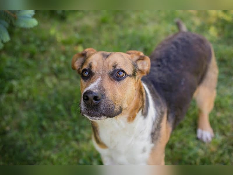 Tobi: Stark und sanft zugleich