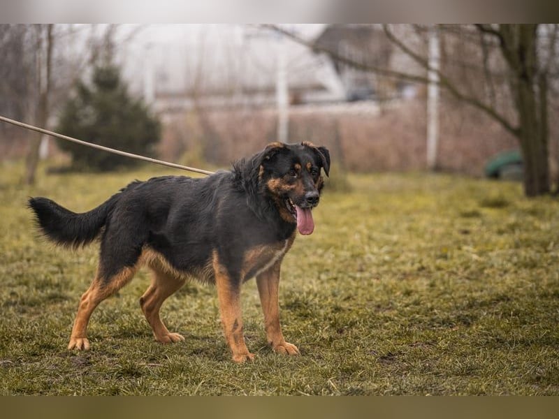 Nia: 50cm großes, aktives Mädchen