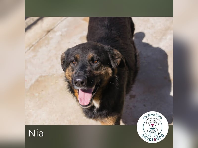 Nia – großes, aktives Mädchen