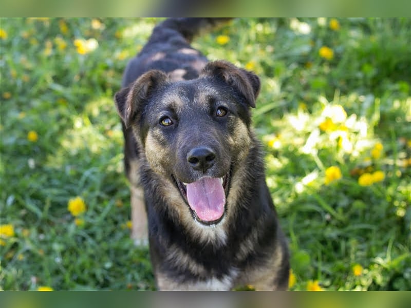 Anni – liebt Wasser